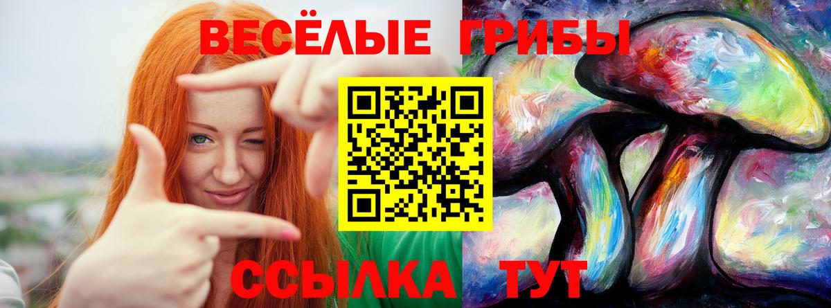 Губкинский  Псилоцибиновые грибы Magic Shrooms  Вход с VPN 